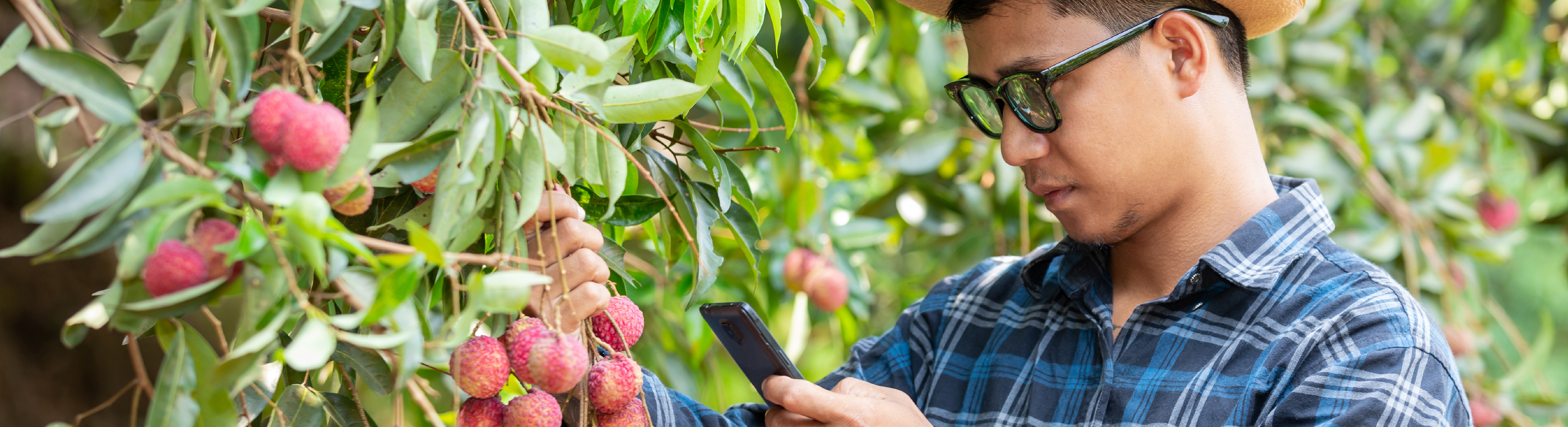 ไฮไลท์ส่วนกลาง-1